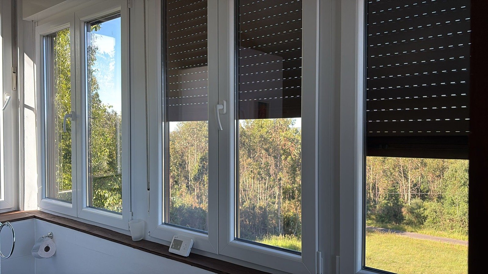 Windows onto the forest