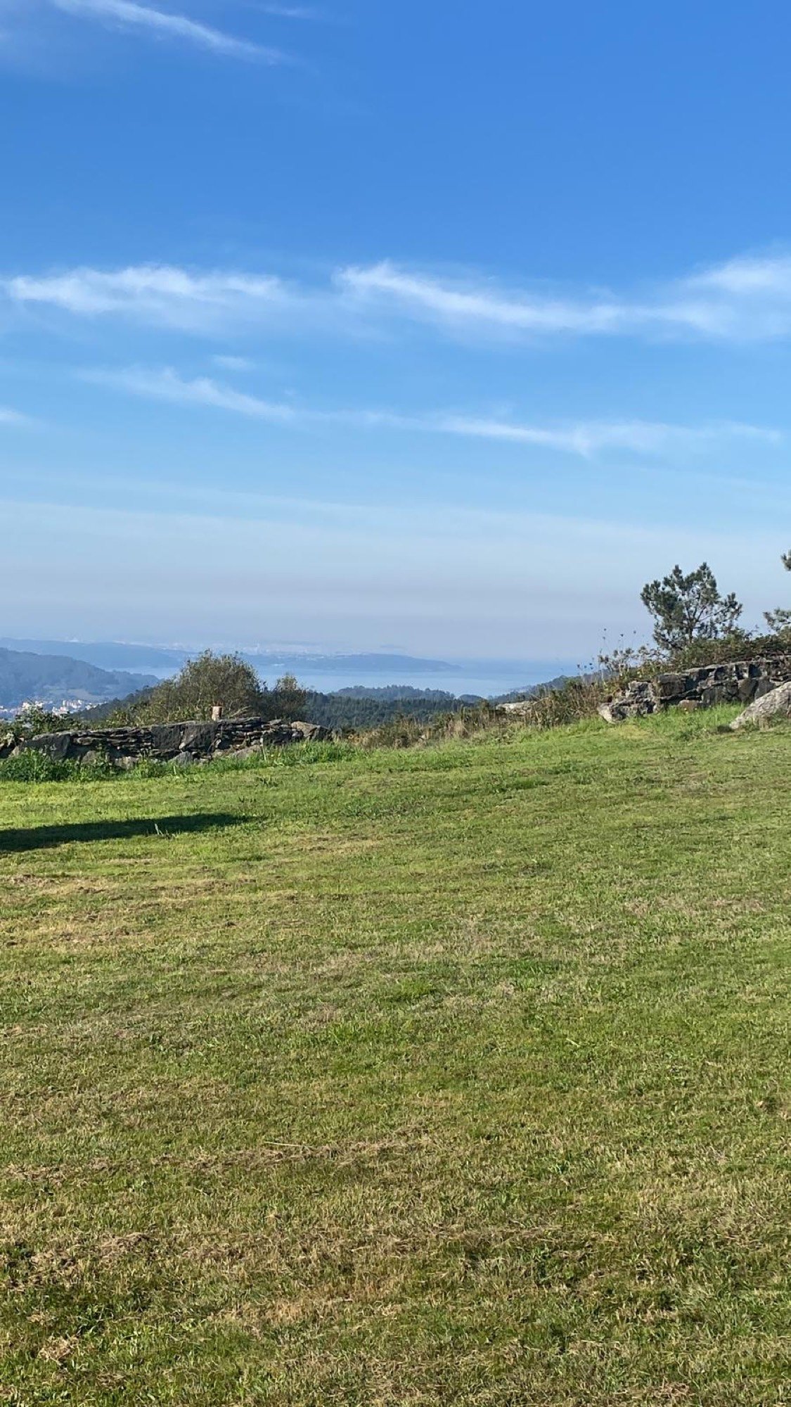 Panoramic views
